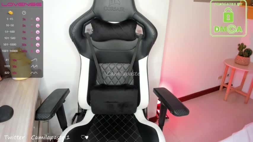 camilapastel - Stripchat Show (1h 9m) • Tuesday, December 19, 2023 [r4zt]