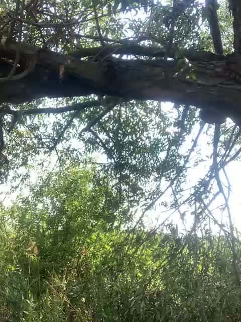 AlisaWhite - Stripchat Show (1h 1m) • Sunday, January 1, 2023 [vm73]