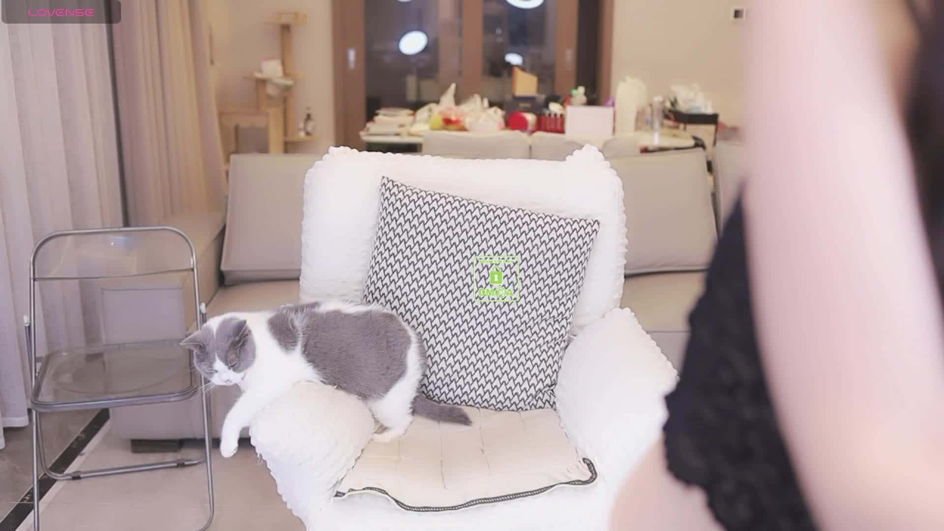 Bella-999 - Stripchat Show (1h 35m) • Thursday, November 6, 2025 [dpk9]