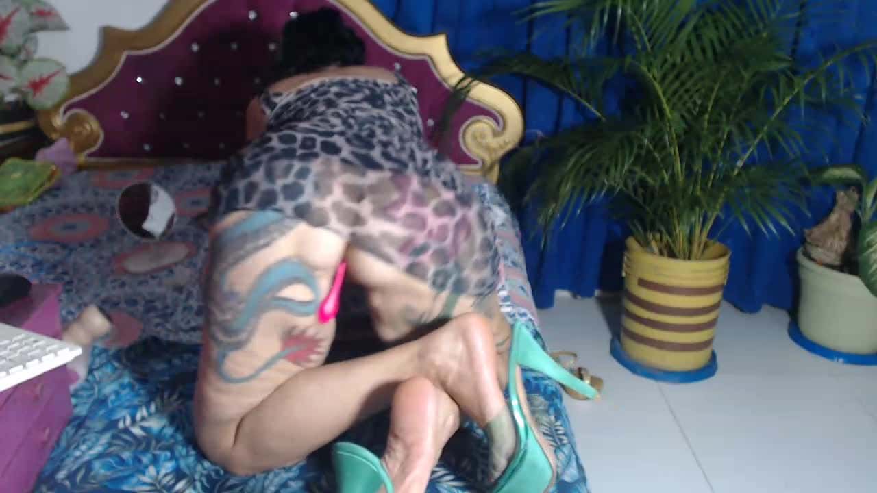 big_boobsmature - Stripchat Show (19m 26s) • Saturday, July 12, 2025 [5ddr]